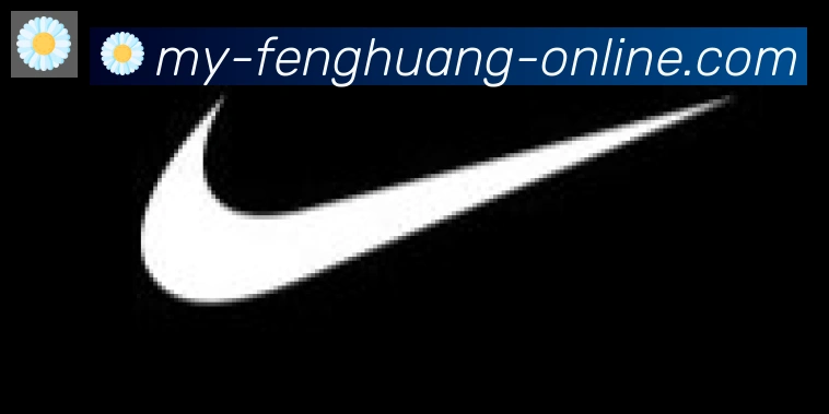 凤凰体育合作伙伴
